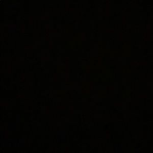 Meet your Posher, Tyson